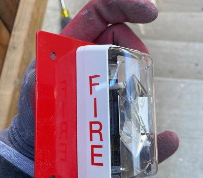 WhatsApp Image 2025-12-21 at 5.39.18 AM (1)