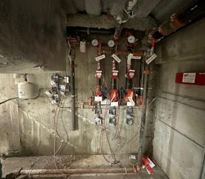 WhatsApp Image 2025-12-21 at 5.39.18 AM (2)